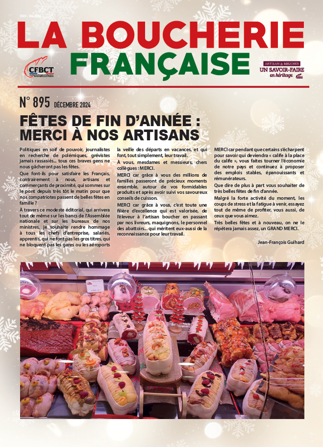 JOURNAL DU MOIS DE DÉCEMBRE 2024