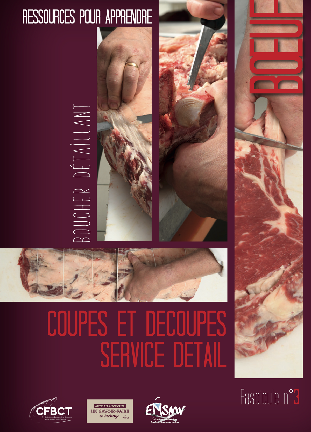 RESSOURCES POUR APPRENDRE - BOEUF