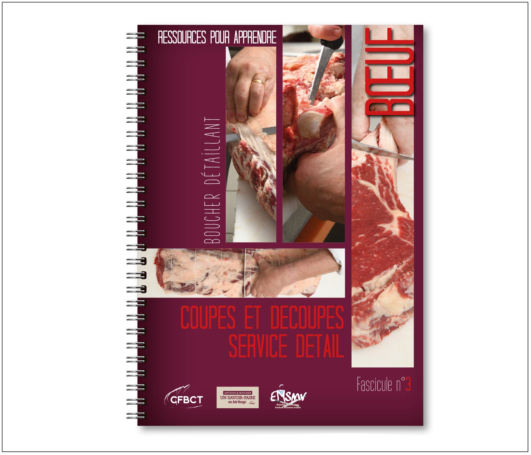 RESSOURCES POUR APPRENDRE - PACK 3