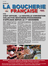 JOURNAL DU MOIS DE NOVEMBRE 2025